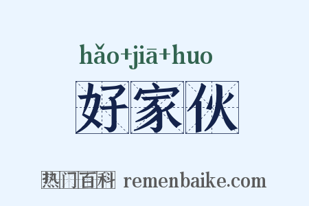 好家伙是什么意思的图片